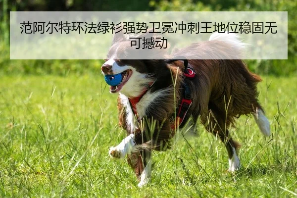 范阿尔特环法绿衫强势卫冕冲刺王地位稳固无可撼动